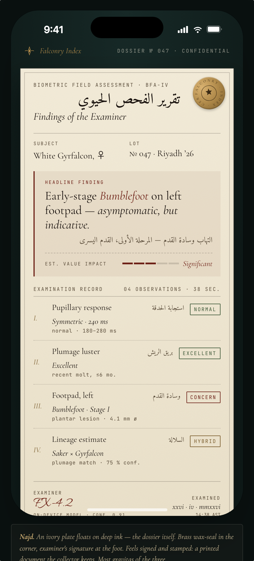 iPhone verdict screen — ivory dossier on deep ink, brass wax-seal, Arabic-primary RTL biometric report on a white gyrfalcon